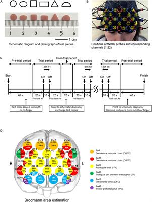 Activation of Prefrontal Cortex in Process of Oral and Finger Shape Discrimination: fNIRS Study